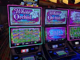 Lucky Neko mobile screen displaying bet adjustment controls, spin button, and real-time balance update after winning combination